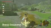 Hyrule Stallruine.jpg