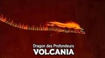 Volcaniaoot