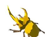 Escarabajo vigoroso