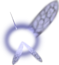 Navi.png
