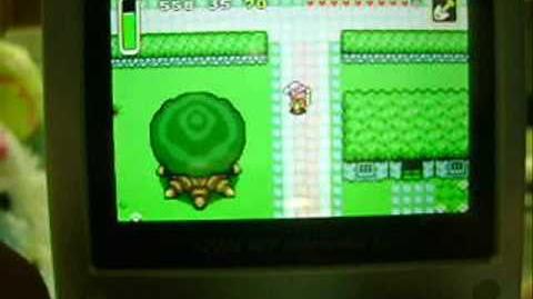 The Legend of Zelda: A Link to the Past Glitches