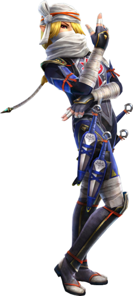 Sheik Hyrule Warriors The Legend Of Zelda Wiki Fandom 