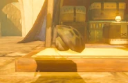 Breath of the Wild Gerudo Town Market (Mushroom Shop) Ironshroom (Gerudo Desert).png (457 KB) A Ironshroom on display at the mushroom shop in Gerudo Town