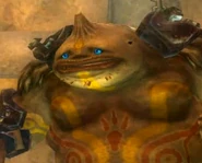 Dangoross ayant retiré son casque après sa défaite face à Link.