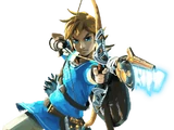 Champion's Tunic