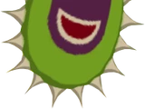 Boko Baba Seed