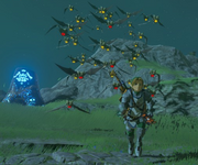 Breath of the Wild Keese Keese Swarm (Hyrule Field)