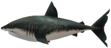 Savage Shark Zeldapedia Fandom
