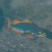 049（049） 049（049） 生命鲈鱼