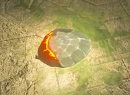 Breath of the Wild Dragon Parts (Scales) Dinraal's Scale (Dinraal).png (467 KB) Dinraal's Scale on the floor of the ruins in the Spring of Power