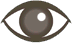 Icône Oeil Détection