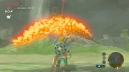 Sanctuaire de Shemo'Lata 3 BOTW.jpg (186 kio) Link qui détruit les épines pour accéder au sanctuaire.