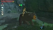 Link climb and taming Honeyvore Bear