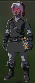 Breath of the Wild Dark Link (Armor Set) Dark Link's Clothes (Inventory)