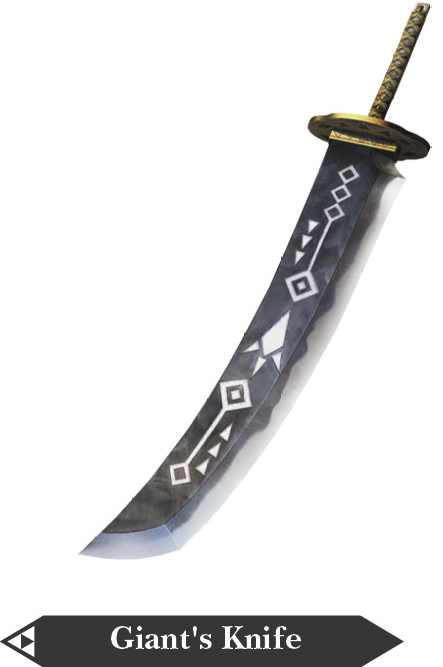 https://static.wikia.nocookie.net/zelda/images/c/ca/Hyrule_Warriors_Giant_Blade_Giant%27s_Knife_%28Render%29.png/revision/latest?cb=20160531152434