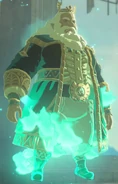 Roi Rhoam BOTW 3.png (296 kio)