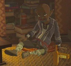 BOTW kabara