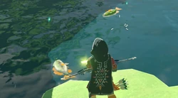 Pêche BOTW