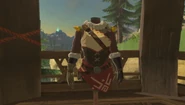Breath of the Wild Brazen Beak Snowquill Tunic (Rito Village).png (398 KB) Snowquill Tunic on display at Brazen Beak