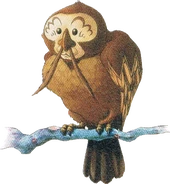 Artwork de Kaepora Gaebora renversant sa tête à l'envers dans Ocarina of Time