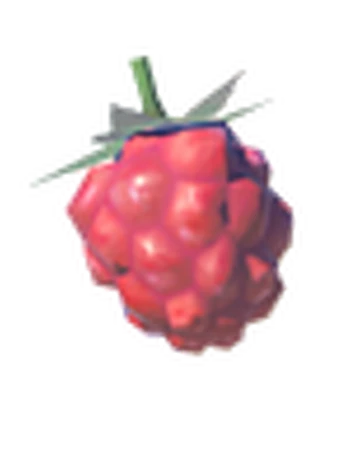 Wildberry | Zeldapedia | Fandom Wildberry | Zeldapedia | Fandom