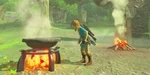 Link at a campfire