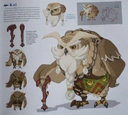 Kaï dans Hyrule Encyclopedia.