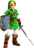 Link wearing his Era of the Hero of Time Hero's Clothes from Hyrule Warriors