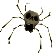 Skullwalltula