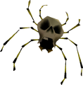 Skullwalltula