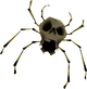 Skullwalltula OoT