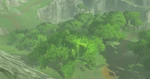 BotW-Bosque Azevat