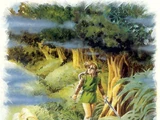 Lost Woods