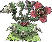 Guardiano del Mare Arboreo: Manhandla