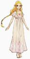 Hyrule Warriors Artwork Princess Zelda Nightgown (Concept Art)
