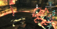 Link Loup Midona TP (2)