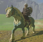 Ephèdre sur son cheval.