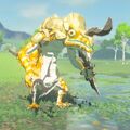 BOTW Encyclopedie Lezalfos dore