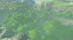 BotW-Bosque Sigrant