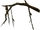 Twig