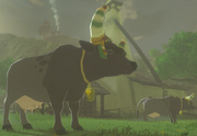 Breath of the Wild Livestock (Cow) Hateno Cow (Hateno Village)