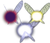 Fée Compagnons OOT MM.png