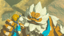 BotW Daruk's Mettle