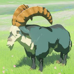 Hateno Pasture - The Legend of Zelda: Tears of the Kingdom Database