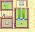 The Pegasus Shoes Item Floor
