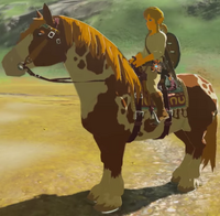 BotW Link Registered Horse Model