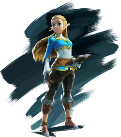 Champion - Zelda Dungeon Wiki, a The Legend of Zelda wiki