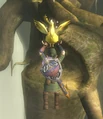 Link using the Golden Cucco to reach the Sacred Grove in Twilight Princess
