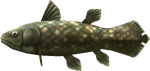 MM3D Ancient Fish Model
