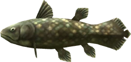 MM3D Ancient Fish Model